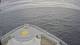 Norwegian Joy Mo. 31.8.