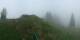 Braunwald Mo. 31.8.