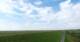 Westerhever Mo. 31.8.
