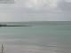 Takapuna Mo. 31.8.
