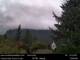 North Bend, Washington Di. 1.9.