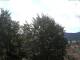 Gmund am Tegernsee Di. 1.9.