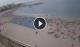 Benidorm Di. 1.9.