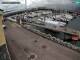 Fenit Di. 1.9.