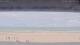 Henne Strand Di. 1.9.