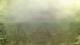 Campo Grande Di. 1.9.
