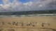 Hörnum (Sylt) Di. 1.9.