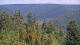 Bad Wildbad Di. 1.9.