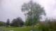 Harriman, New York Di. 1.9.