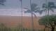 Lihue, Hawaii Mi. 2.9.
