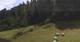 Going am Wilden Kaiser Mi. 2.9.