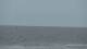 Scheveningen Mi. 2.9.