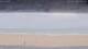 Henne Strand Mi. 2.9.
