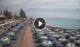 Bordighera Mi. 2.9.