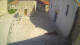 Jelsa (Hvar) Mi. 2.9.