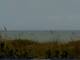 Cape Canaveral, Florida Do. 3.9.