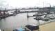Delfzijl Do. 3.9.