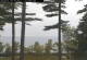 Windham, Maine Do. 3.9.