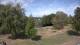 Steinbrunn Do. 3.9.