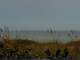 Cape Canaveral, Florida Sa. 5.9.