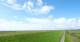 Westerhever Sa. 5.9.