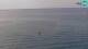 Piran Sa. 5.9.
