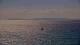 Le Lavandou So. 6.9.