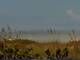 Cape Canaveral, Florida So. 6.9.