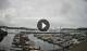 Newport, Oregon So. 6.9.
