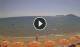 Formia So. 6.9.