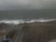 Hook Head Mo. 7.9.