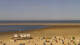 Borkum Mo. 7.9.