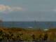 Cape Canaveral, Florida Mo. 7.9.