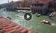 Venedig Mo. 7.9.