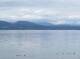 North Saanich Mo. 7.9.