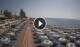 Bordighera Mo. 7.9.