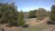 Steinbrunn Mo. 7.9.
