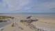 Gouville-sur-Mer Mo. 7.9.