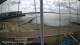 Brightlingsea Mo. 7.9.