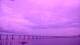 Fort Myers, Florida Di. 8.9.