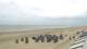 Norderney Di. 8.9.