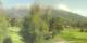 Barcelonnette Di. 8.9.