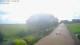 Schwinge Di. 8.9.