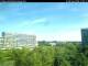 Cottbus Di. 8.9.