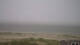 Borkum Di. 8.9.