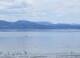 North Saanich Di. 8.9.