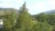 Saint-Pierre-dels-Forcats Di. 8.9.
