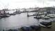 Delfzijl Di. 8.9.