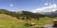 Arosa Di. 8.9.