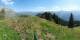 Braunwald Di. 8.9.